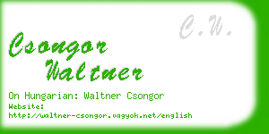 csongor waltner business card